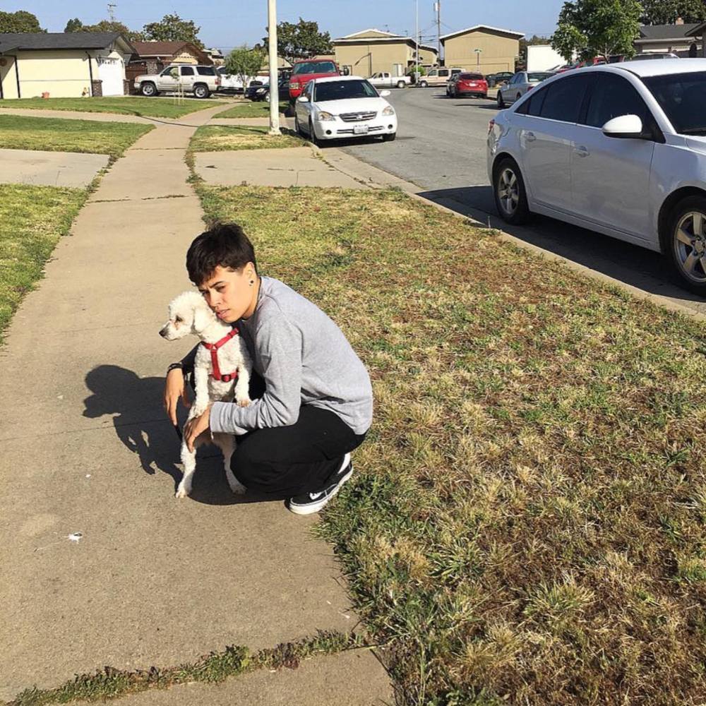 Meet your Posher, Sebastian